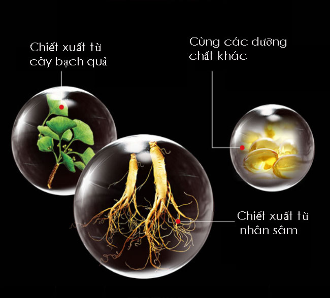 Gel Pjur Man Xtend với chiết xuất nh&acirc;n s&acirc;m v&agrave; bạch quả hỗ trợ k&eacute;o d&agrave;i thời gian quan hệ.